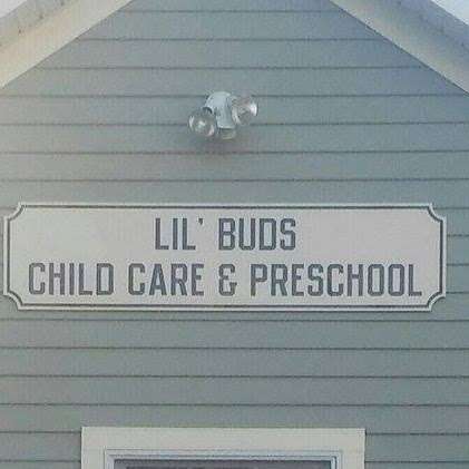 Jobs in Lil' Buds Child Care & Preschool - reviews
